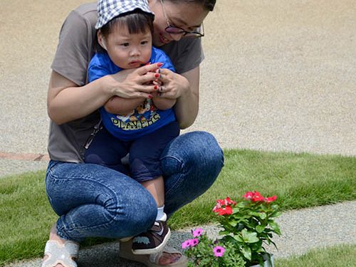 Nature Site slideshow