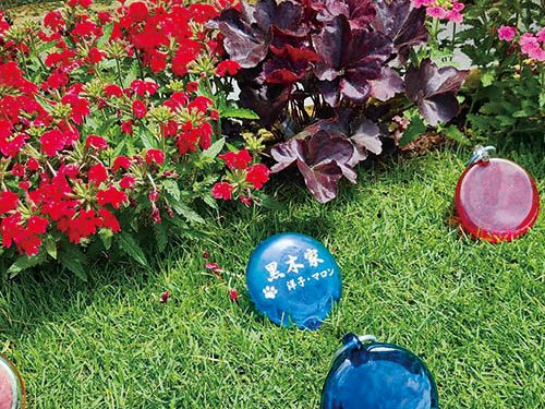 Nature Site slideshow